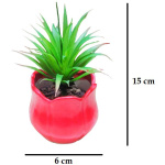 Artificial Succulent