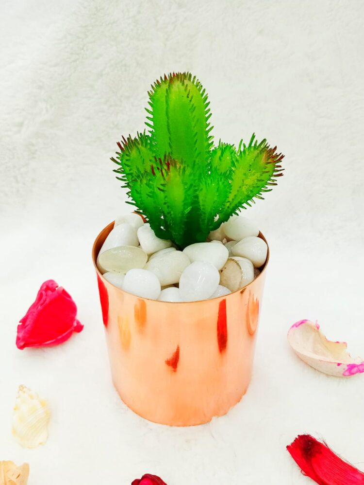 Artificial Cactus in RG Brass Pot
