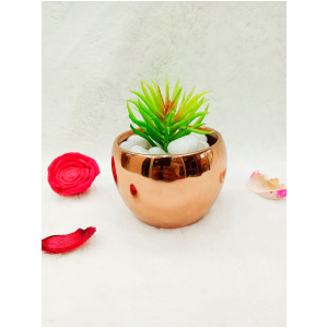 Succulent In RG Brass Pot 1