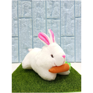 Rabbit with Carrot Soft Toy Plush Toy, Stuffed Lovable Kids