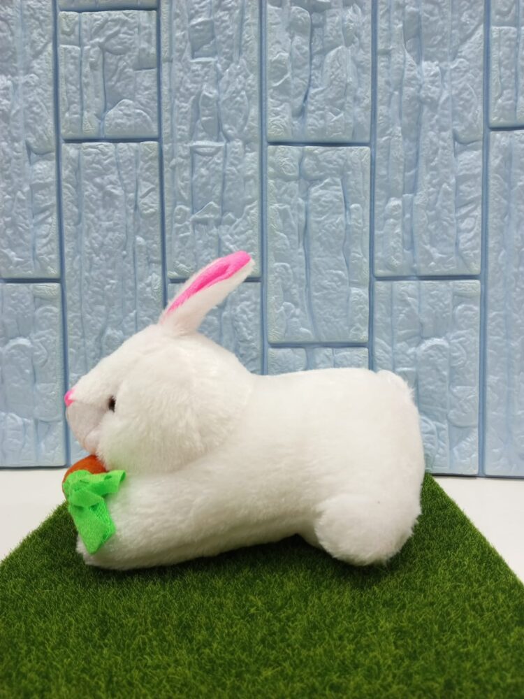 Rabbit with Carrot Soft Toy Plush Toy, Stuffed Lovable Kids