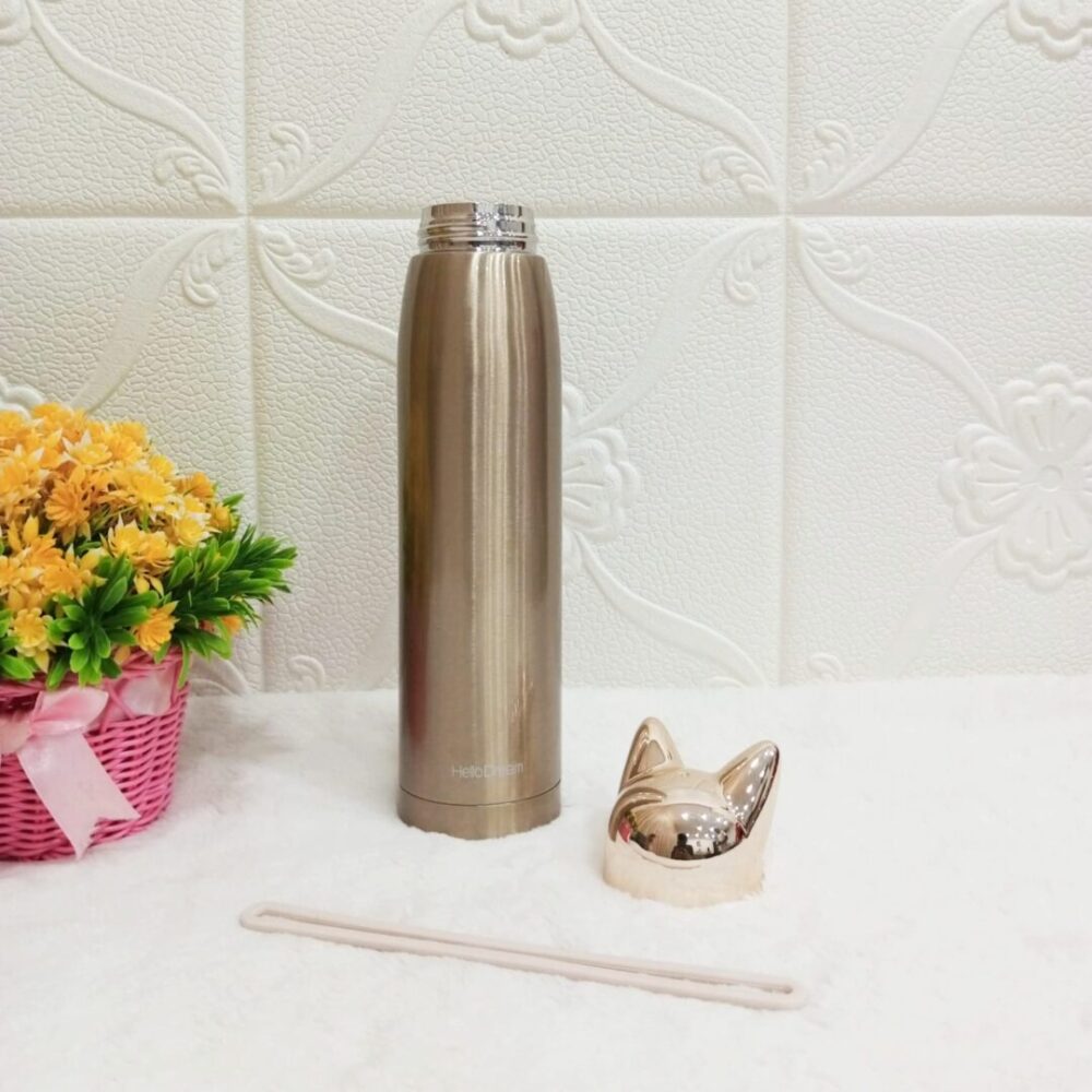 Cat Thermos Hot and Cold Water Bottle