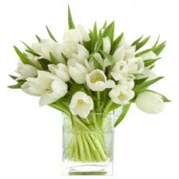 White Tulips with Vase