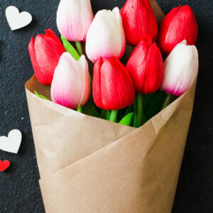 Newfound Love - Pink & White Tulips