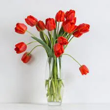 Red Tulips in a Vase