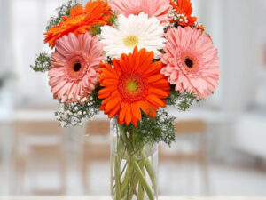 Classic Gerbera Flowers with Vase
