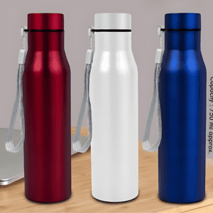 Stainless Steel Bottle