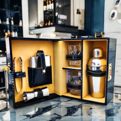 cocktail shaker set with case